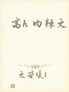 高h 肉辣文