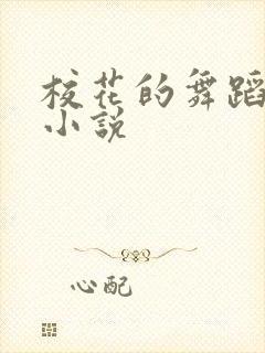 校花的舞蹈补课小说