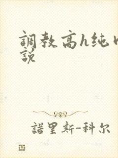 调教高h纯肉小说