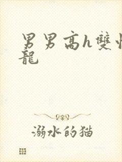 男男高h双性双龙