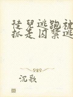 徒儿逃跑被师尊抓走囚禁逃跑的小说