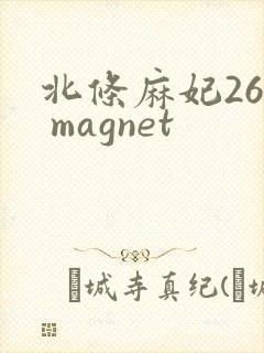 北条麻妃26部 magnet