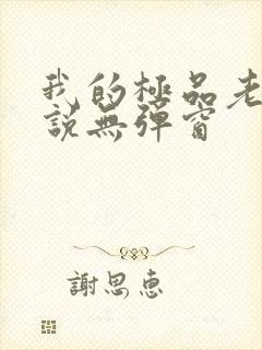 我的极品老婆小说无弹窗