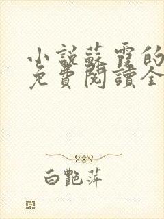 小说苏霞的沉沦免费阅读全文