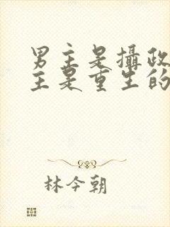 男主是摄政王女主是重生的小说