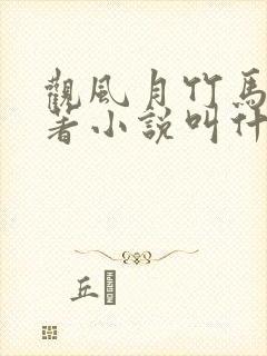 观风月竹马篇原著小说叫什么名字封面