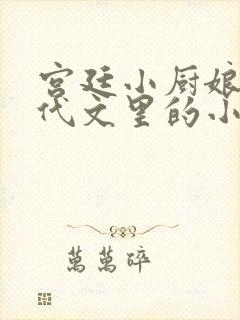 宫廷小厨娘在年代文里的小说
