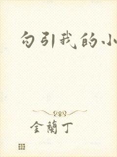 勾引我的小骚货