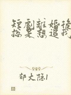 短剧离婚后前夫总是想追我免费观看