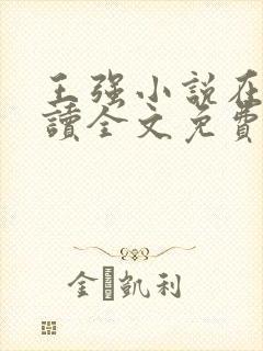 王强小说在线阅读全文免费