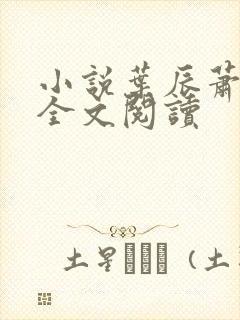 小说叶辰萧初然全文阅读