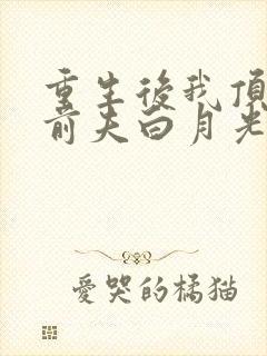 重生后我顶替了前夫白月光最新章节封面