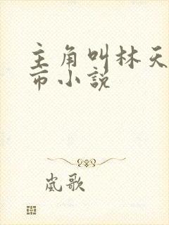 主角叫林天的都市小说