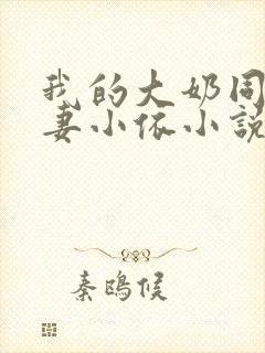 我的大奶同事人妻小依小说