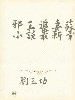 邪王追妻苏小暖小说最新章节阅读