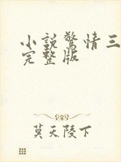 小说惊情三十天完整版