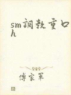 sm调教重口高h