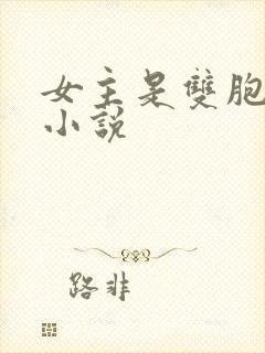 女主是双胞胎的小说封面