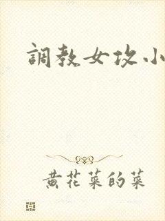调教女攻小说