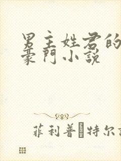 男主姓君的现代豪门小说