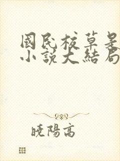 国民校草是女生小说大结局