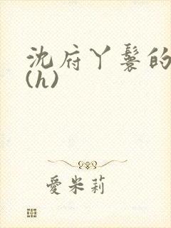 沈府丫鬟的淫史(h)