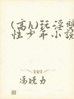 (高h)玩淫双性少年小说