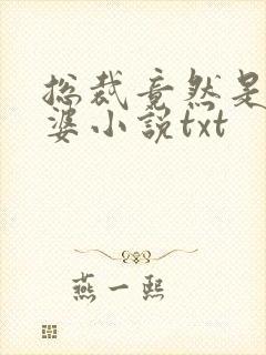 总裁竟然是我老婆小说txt