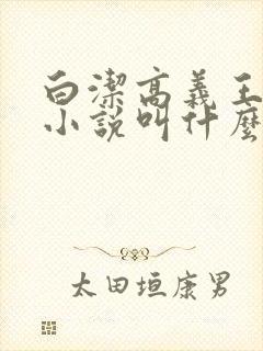 白洁高义王申的小说叫什么来着