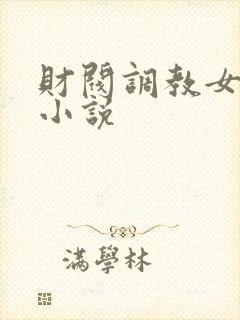 财阀调教女明星小说封面