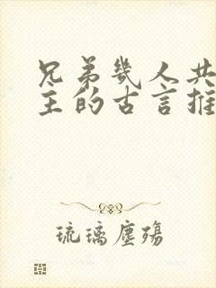 兄弟几人共娶女主的古言推荐完结封面