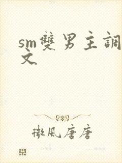 sm双男主调教文