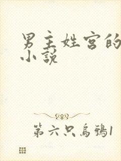 男主姓宫的总裁小说