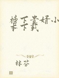 榜下贵婿小说全本下载