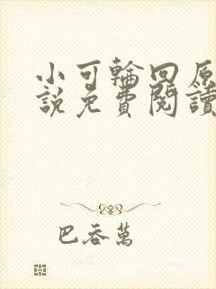 小可轮回原著小说免费阅读封面