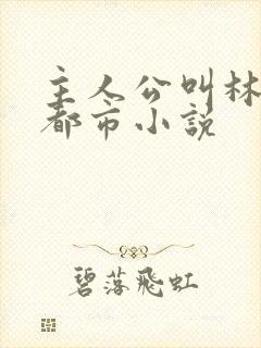 主人公叫林萧的都市小说