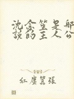 沈念笙是哪本小说的主人公