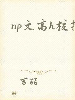 np文高h校花