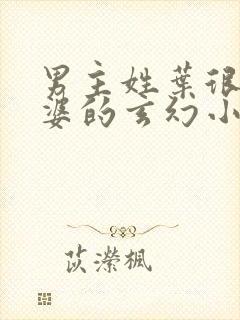 男主姓叶很多老婆的玄幻小说封面