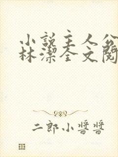 小说主人公秦齐林洁全文阅读