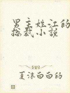 男主姓江的现代总裁小说