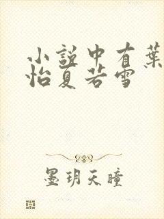 小说中有叶辰孙怡夏若雪