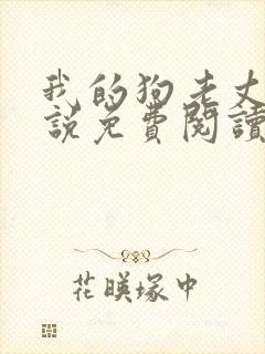 我的狗老丈夫小说免费阅读