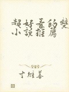 超好看的双男主小说推荐