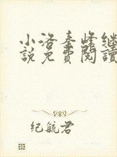 小洛秦峰继兄小说免费阅读封面