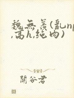 魏无羡(乱np,高h,纯肉)