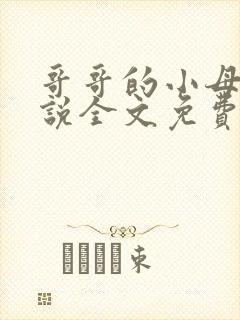 哥哥的小母狗小说全文免费阅读笔趣阁