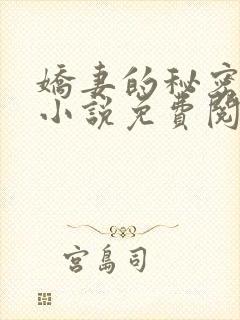 娇妻的秘密陈静小说免费阅读