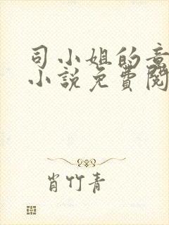 司小姐的意中人小说免费阅读全文最封面