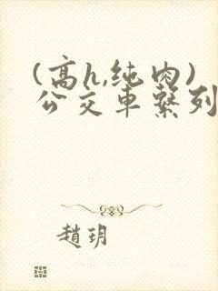 (高h,纯肉)公交车系列